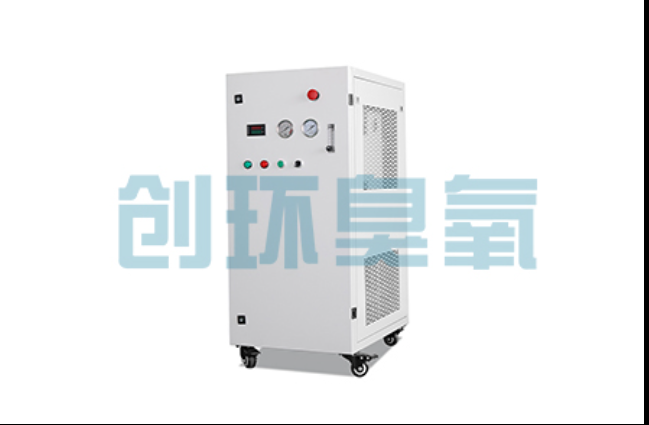 巨鹿工厂化养鲈必看:2026年臭氧发生器替代传统消毒的最新方案