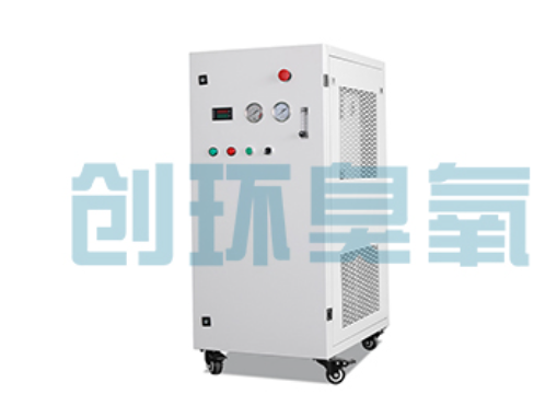 巨鹿石斑鱼养殖水质调控完整指南：臭氧发生器配置与操作步骤