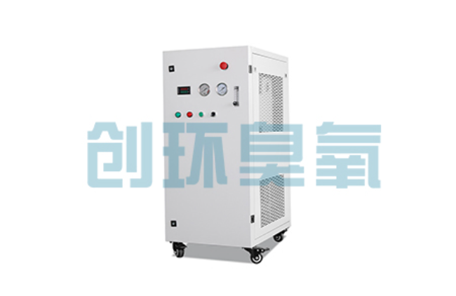 巨鹿比传统换水更高效？臭氧发生器在石斑鱼养殖中的水质净化原理解析